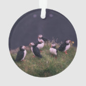 Atlantic Puffins Ornament (achterkant)