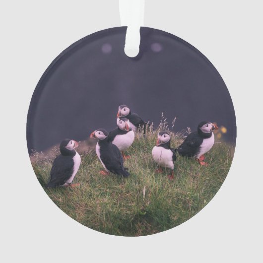 Atlantic Puffins Ornament (achterkant)