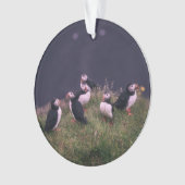 Atlantic Puffins Ornament (voorkant)
