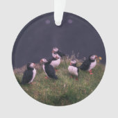 Atlantic Puffins Ornament (voorkant)