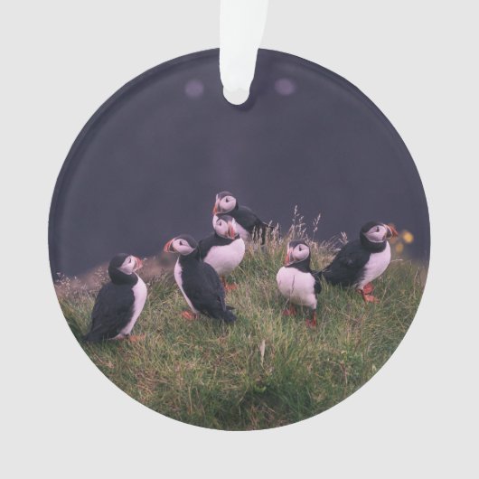 Atlantic Puffins Ornament (voorkant)
