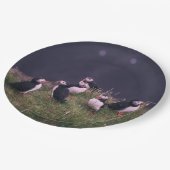 Atlantic Puffins Papieren Bordje (Gekanteld)