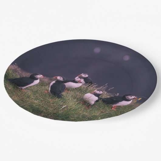 Atlantic Puffins Papieren Bordje (Gekanteld)