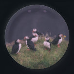 Atlantic Puffins Papieren Bordje<br><div class="desc">Een bijeenkomst van Atlantic Puffins. Foto door Jonatan Pie.</div>