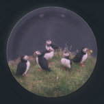 Atlantic Puffins Papieren Bordje<br><div class="desc">Een bijeenkomst van Atlantic Puffins. Foto door Jonatan Pie.</div>