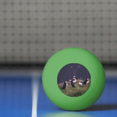 Atlantic Puffins Pingpongbal (Net)
