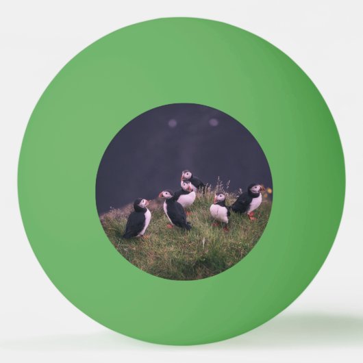 Atlantic Puffins Pingpongbal (Achterkant)