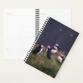 Atlantic Puffins Planner (Display)