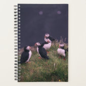 Atlantic Puffins Planner (Voorkant)