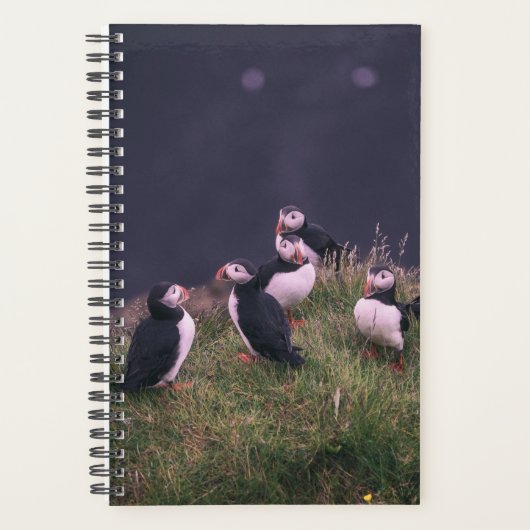 Atlantic Puffins Planner (Voorkant)