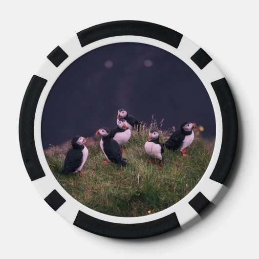 Atlantic Puffins Poker Chips (Achterkant)