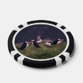Atlantic Puffins Poker Chips (Enkel)