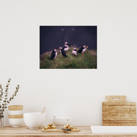 Atlantic Puffins Poster (Keuken)