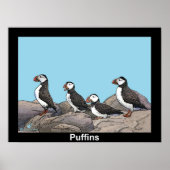 Atlantic Puffins Poster (Voorkant)