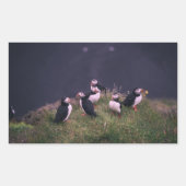 Atlantic Puffins Rechthoekige Sticker (Voorkant)