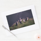 Atlantic Puffins Rechthoekige Sticker (Envelop)