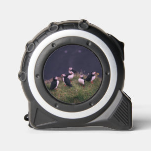 Atlantic Puffins Rolmaat