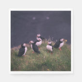 Atlantic Puffins Servet (Voorkant)