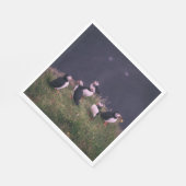 Atlantic Puffins Servet (Hoek)