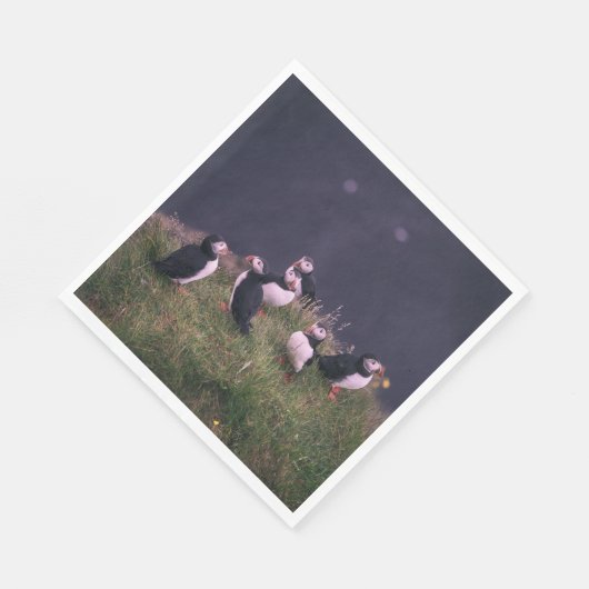 Atlantic Puffins Servet (Hoek)