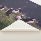 Atlantic Puffins Sherpa Deken (3/4)