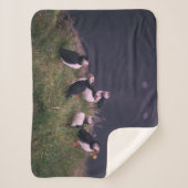 Atlantic Puffins Sherpa Deken (Voorkant)