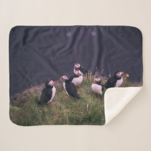 Atlantic Puffins Sherpa Deken