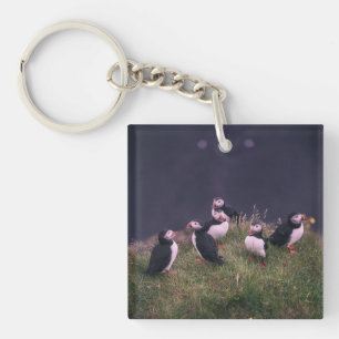 Atlantic Puffins Sleutelhanger
