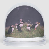 Atlantic Puffins Sneeuwbol (Voorkant)
