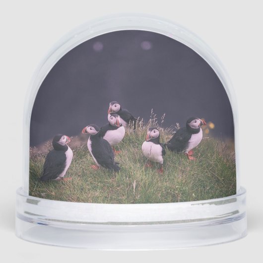 Atlantic Puffins Sneeuwbol (Voorkant)