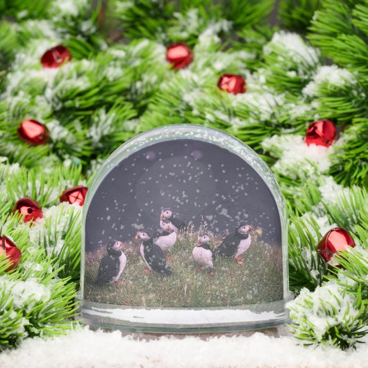 Atlantic Puffins Sneeuwbol (Kerstmis)