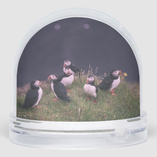 Atlantic Puffins Sneeuwbol (Achterkant)