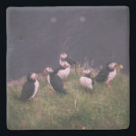 Atlantic Puffins Stenen Onderzetter<br><div class="desc">Een bijeenkomst van Atlantic Puffins. Foto door Jonatan Pie.</div>