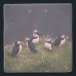 Atlantic Puffins Stenen Onderzetter<br><div class="desc">Een bijeenkomst van Atlantic Puffins. Foto door Jonatan Pie.</div>