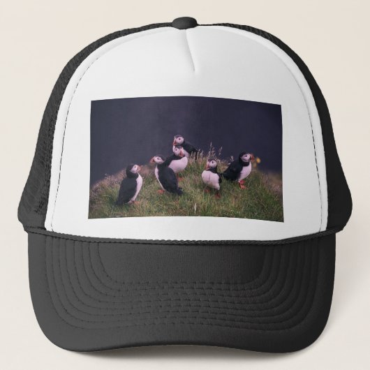 Atlantic Puffins Trucker Pet (Voorkant)
