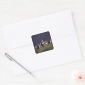 Atlantic Puffins Vierkante Sticker (Envelop)