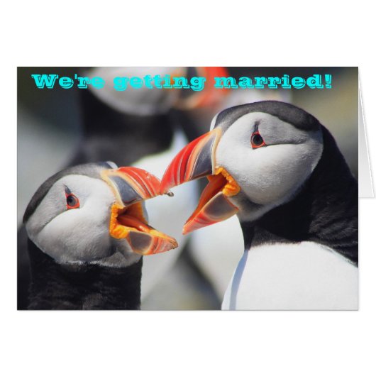 Atlantic Puffins We worden getrouwd (Voorkant Horizontaal)