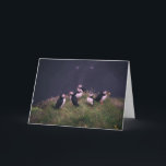 Atlantic Puffins Wenskaart Kaart<br><div class="desc">Atlantic Puffins Wenskaart. Een bijeenkomst van Atlantic Puffins. Foto door Jonatan Pie.</div>