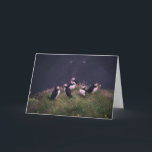 Atlantic Puffins Wenskaart Kaart<br><div class="desc">Atlantic Puffins Wenskaart. Een bijeenkomst van Atlantic Puffins. Foto door Jonatan Pie.</div>