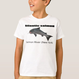 Atlantic Salman New York T-shirt