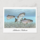 Atlantic Salmon Painting Briefkaart (Voorkant)