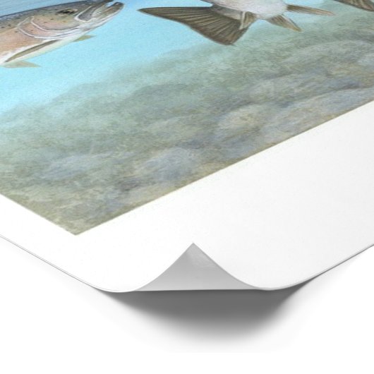 Atlantic Salmon Schilderij Poster (Hoek)