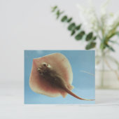 Atlantic Stingray Briefkaart (Staand voorkant)