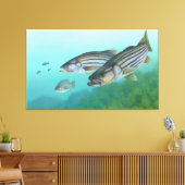 Atlantic Stribass Fish Morone Saxatilis Canvas Afdruk (Insitu (Woonkamer))