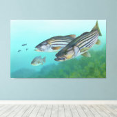 Atlantic Stribass Fish Morone Saxatilis Canvas Afdruk (Insitu (Houten vloer))