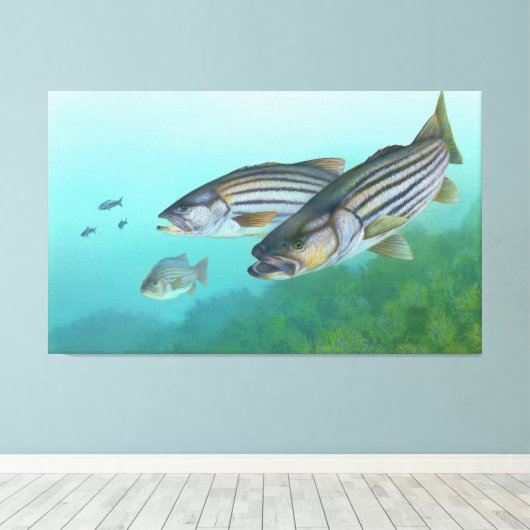 Atlantic Stribass Fish Morone Saxatilis Canvas Afdruk (Insitu (Houten vloer))