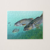 Atlantic Stribass Fish Morone Saxatilis Legpuzzel (Horizontaal)