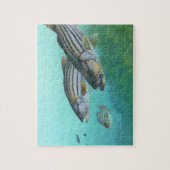 Atlantic Stribass Fish Morone Saxatilis Legpuzzel (Verticaal)