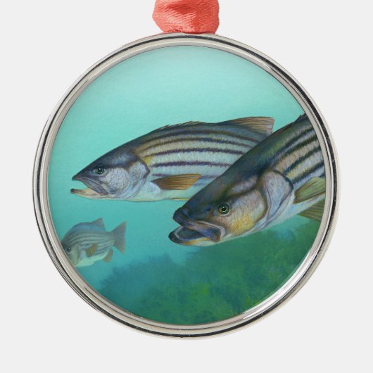 Atlantic Stribass Fish Morone Saxatilis Metalen Ornament (Voorkant)