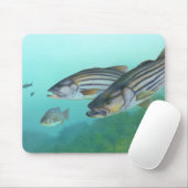 Atlantic Stribass Fish Morone Saxatilis Muismat (Met muis)